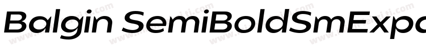 Balgin SemiBoldSmExpanded字体转换